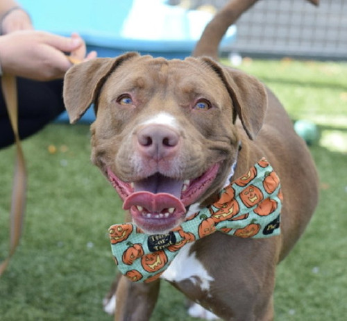 G4NZ 5yXkAAKa H?format=jpg.jpg