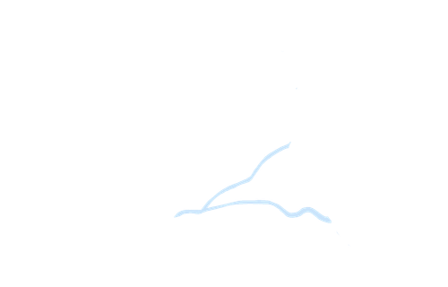 13.png