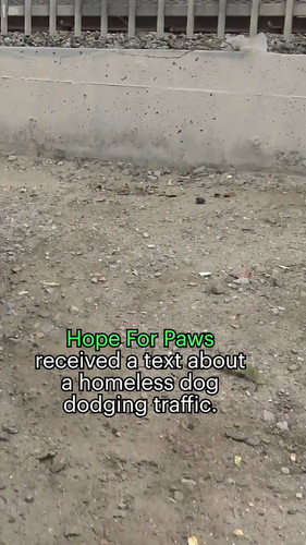 39egeme kMeev8Vm.jpg