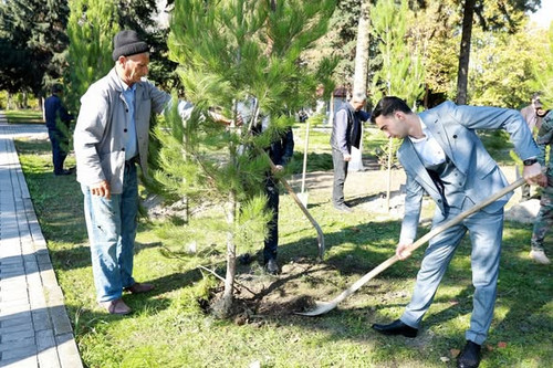 578260741 1250891217072816 1237950609758947952 n.jpg?stp=dst jpg s590x590 tt6& nc cat=108&ccb=1 7& n.jpg