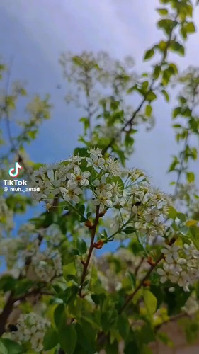 3 tK98enYGUImBWH.jpg