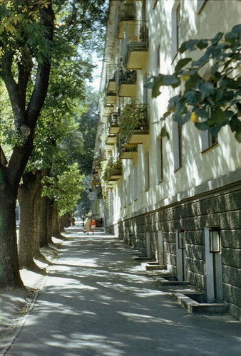 7tuj8ybwipnw1bip 1024.jpg