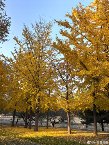 6c3d9052b24a.jpg