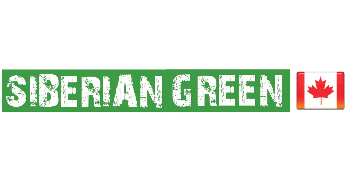 The Siberian Green Review: I Tried the "Ancient Power" of Shilajit and Chaga—Here's What Happened.