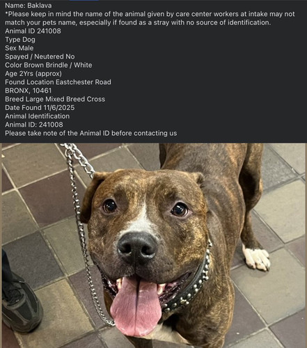 G5IA3w2WkAAIOdk.jpg