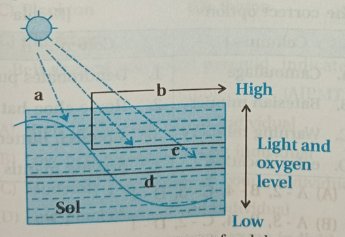 IMG 20251108 095836.jpg