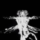 6ezgif.com resize (36).gif