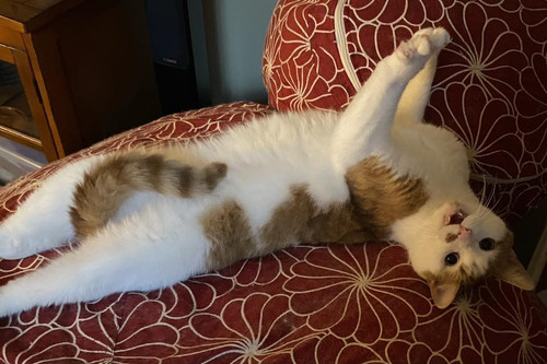 577873506 10230964758964022 5802424304164954959 n.jpg