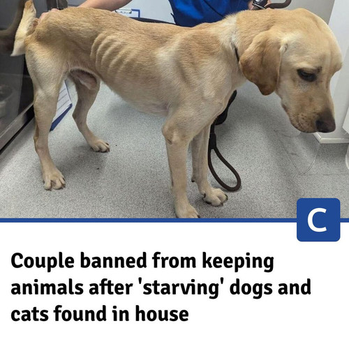 G5Jo5M8WkAA2f4j.jpg