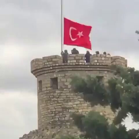 mKpZLo7St1lqZ3V0.jpg