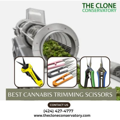 Best Cannabis Trimming Scissors.jpg