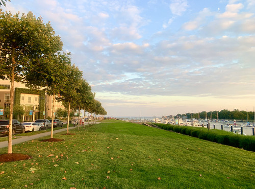 IMG 8555.jpg