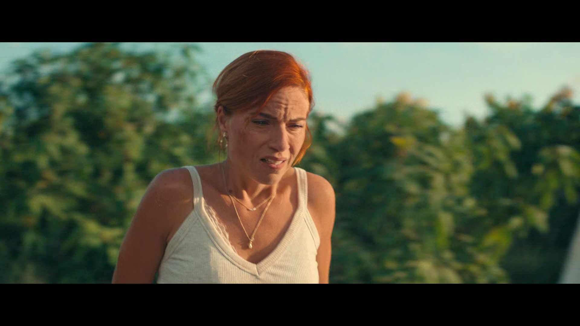 vlcsnap 2025 11 07 15h11m13s229