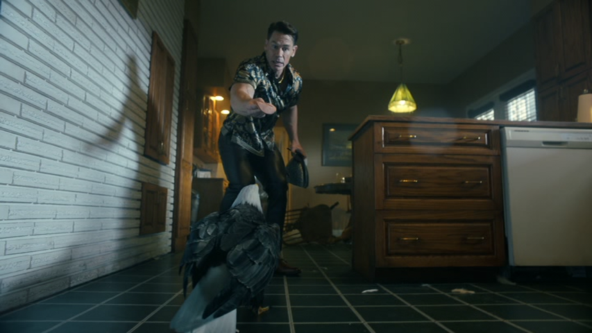 vlcsnap 2025 11 07 15h19m14s133