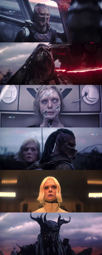 InCollage 20251107 202043383.png