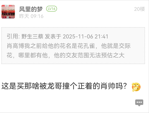 Screenshot 20251108 234239 com.huawei.browser.png