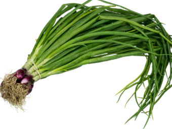 Spring Onion