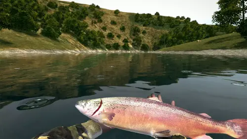 s1 a085189e4e4f7190a52ca597e98ddbcd.webp