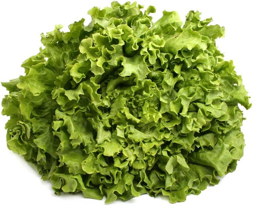 61Z0FkDm0TL. AC SL1000 .jpg