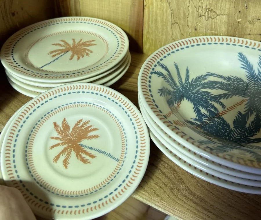 Aparelho De Jantar 20 Peças Biona Donna 26 Caribe