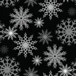 159862584.webp