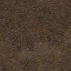 135429927 fon211.jpg