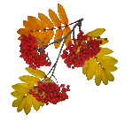 163155946 4138752 163061950 21 yapfilesru.gif