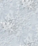 1 (21).webp