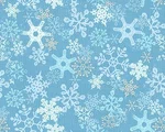 092ff1053e46939d2d7f0d11bd74a90a.webp