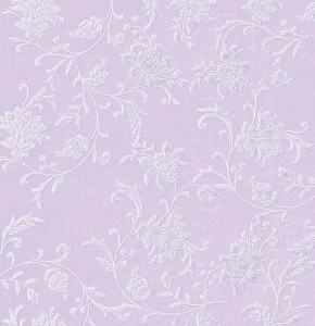 8 6.webp