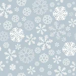 951913404.webp