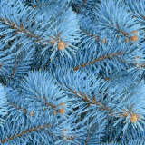 floaties (1) 667172.gif