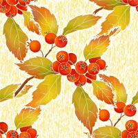 31215147 15943965 rabin.jpg