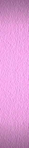fondo5.webp