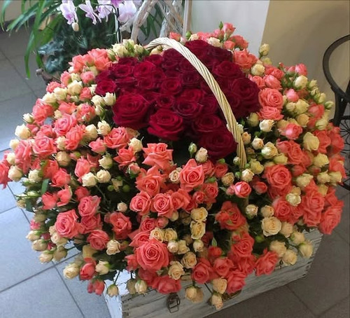 197274491 1183589498746973 4937999584631556149 n.jpg?stp=dst jpg p552x414 tt6& nc cat=101&ccb=1 7& n.jpg