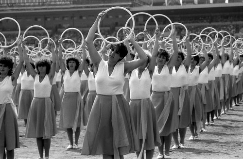 468738627 2004110940028154 7910154938114672773 n.jpg?stp=dst jpg p180x540 tt6& nc cat=109&ccb=1 7& n.jpg