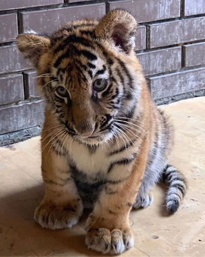 163827043 1136408126798444 8694736082701070120 n.jpg?stp=dst jpg s640x640 tt6& nc cat=101&ccb=1 7& n.jpg