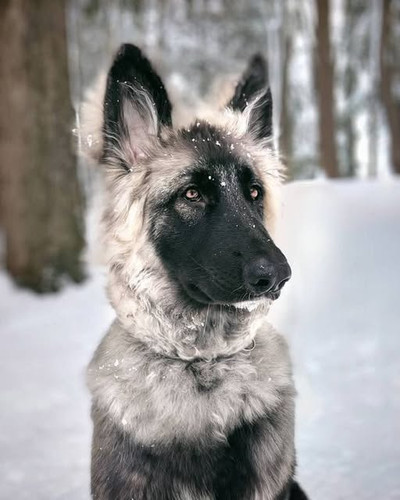 120374652 1016436538795604 7601542342593868111 n.jpg?stp=dst jpg s640x640 tt6& nc cat=109&ccb=1 7& n.jpg