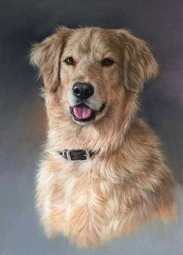 268834026 1308655576240364 6466926398276490362 n.png?stp=dst png s720x720& nc cat=105&ccb=1 7& nc si.png