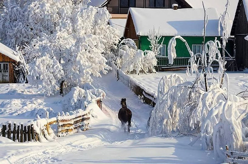 174242585 1152701371835786 434351255605503581 n.jpg?stp=dst jpg p180x540 tt6& nc cat=102&ccb=1 7& nc.jpg