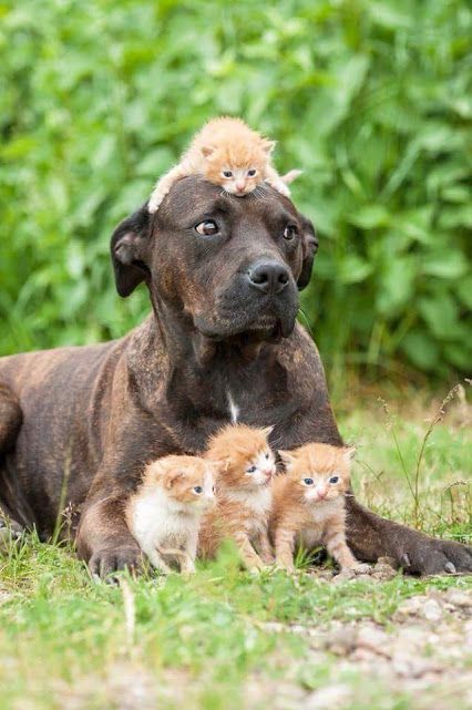 128636660 1065478643891393 9099717137798753075 n.jpg? nc cat=110&ccb=1 7& nc sid=127cfc& nc ohc=VYFt.jpg