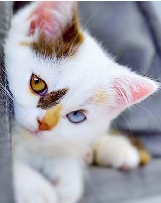 120250105 1014208249018433 4741125991277255836 n.jpg? nc cat=105&ccb=1 7& nc sid=127cfc& nc ohc=kQ7z.jpg