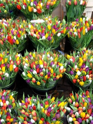 467453238 1994565610982687 4329079206424404813 n.jpg?stp=dst jpg p526x296 tt6& nc cat=107&ccb=1 7& n.jpg