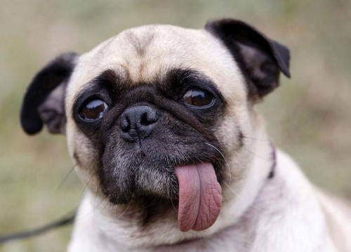 473685352 2033392357100012 6559888981790775526 n.jpg? nc cat=111&ccb=1 7& nc sid=127cfc& nc ohc=foBY.jpg