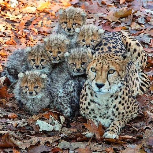 467666585 1994534334319148 329628042162903942 n.jpg?stp=dst jpg p526x296 tt6& nc cat=111&ccb=1 7& nc.jpg