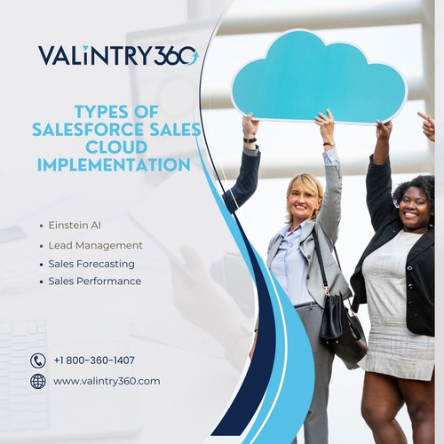 Types of Salesforce Sales Cloud Implementation.jpg