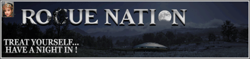 NightIn Banner.gif