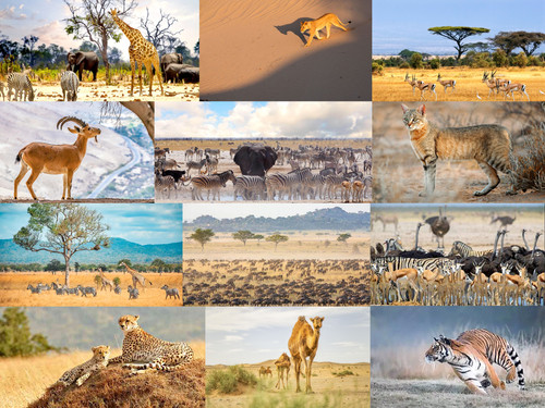 'Glorified is The All-Mighty Creator'.jpg