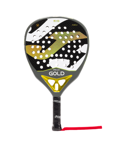 pro 86c61bc8 4669 46b9 bd89 2d4f5c14c6e2.png