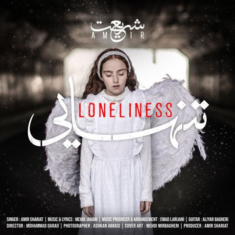 دانلود آهنگ امیر شریعت به نام تنهایی